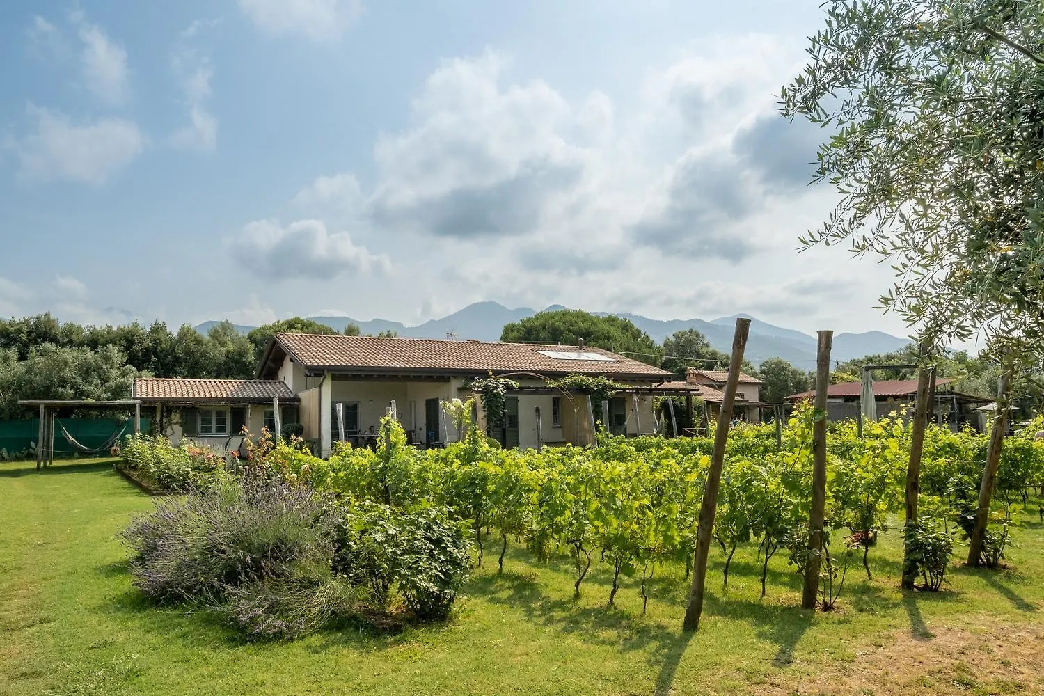 Olimagio Farm Stay With Animals And 25M Pool, Beach At Cycling Distance Pietrasanta Country house