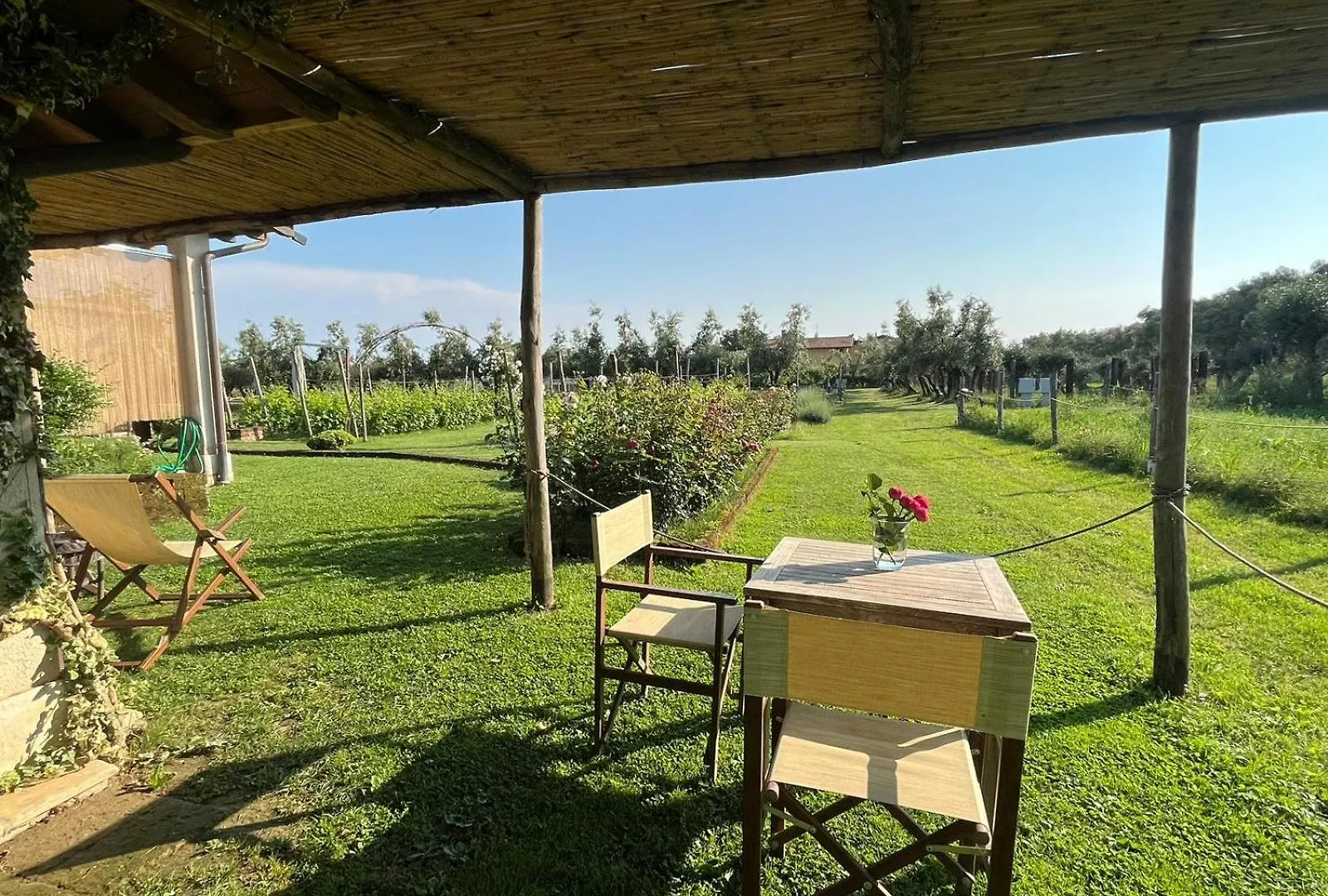 Olimagio Farm Stay With Animals And 25M Pool, Beach At Cycling Distance Pietrasanta Italy